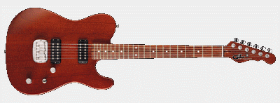 G&L 25th Anniversary