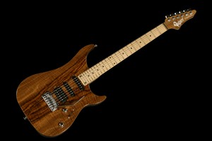Vigier - Ultra Blues Noyer